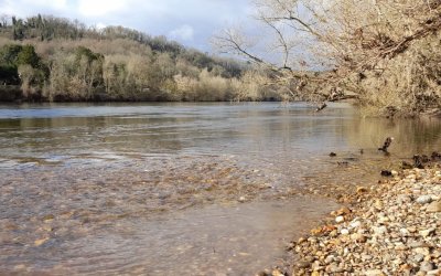Fédération de Pêche de la Gironde : Découvrez nos actions techniques pour 2022
