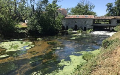 Les inventaires poissons du projet Biodiver’cité sont reconduits sur 5 ans