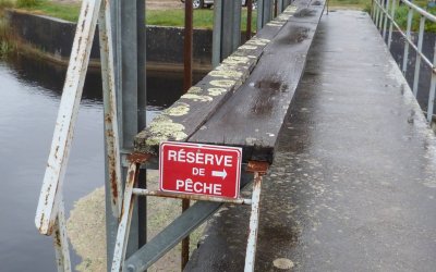 Réserves de pêche et pêche interdite