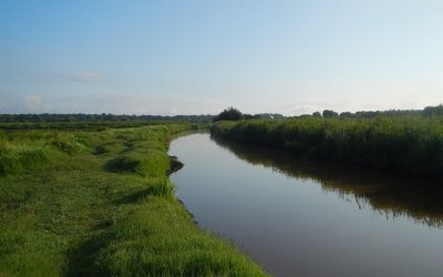 Poissons et pêche : découvrez le chenal du Gua !