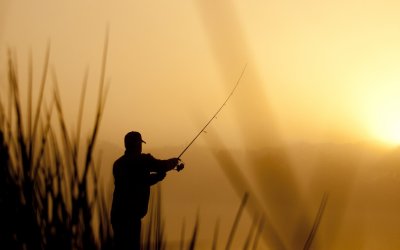 Enquête sur les pêcheurs de Gironde : les résultats