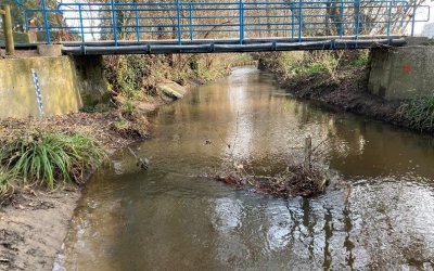 Bilan hydrologique et thermique de l’année 2022