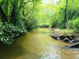 un cours d’eau à l’état naturel (© SGBV Moron)