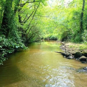 un cours d’eau à l’état naturel (© SGBV Moron)
