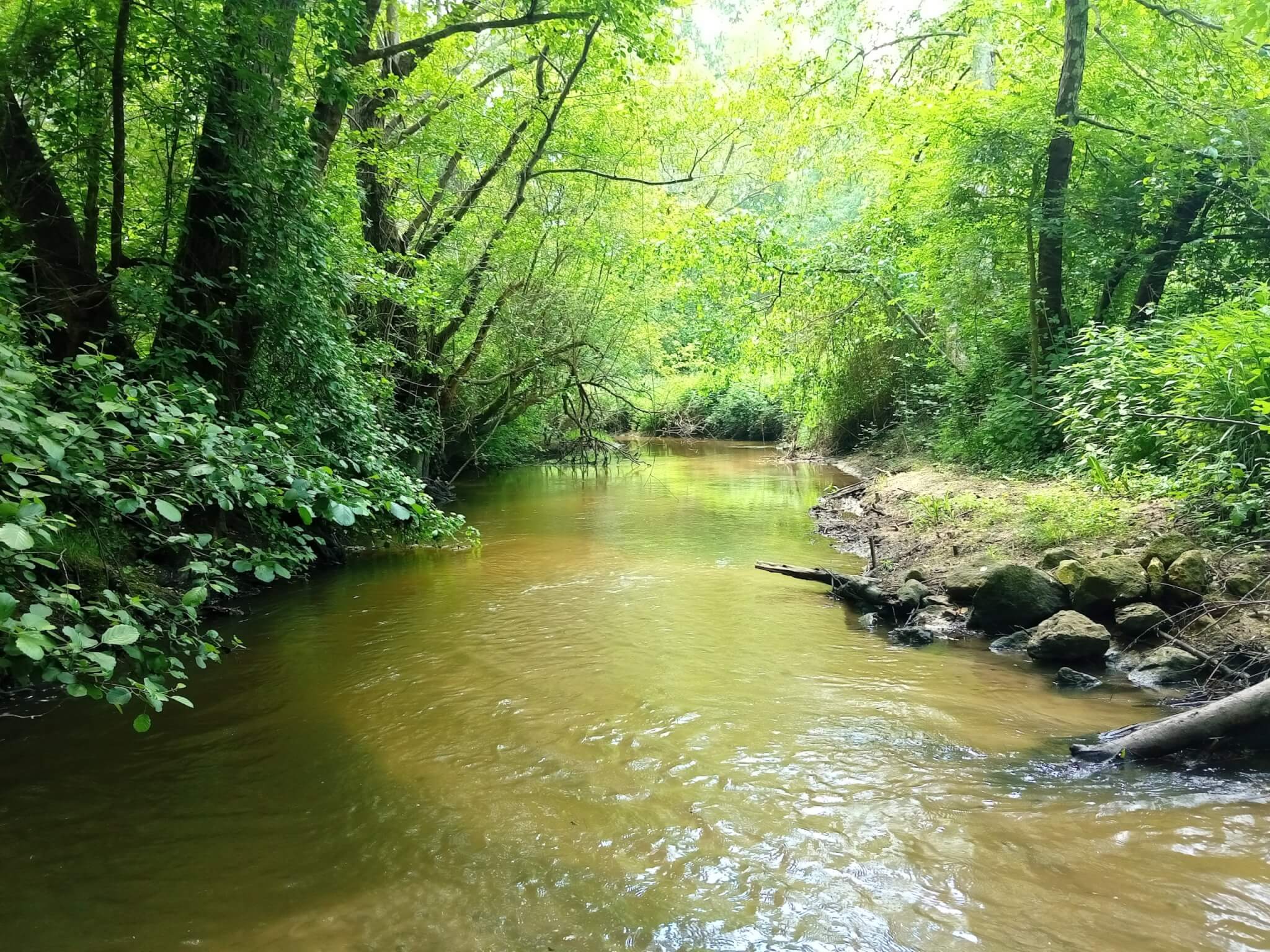 un cours d’eau à l’état naturel (© SGBV Moron)