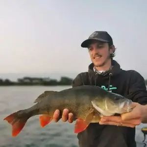 Guide pêche gironde mathieu mollon perrin