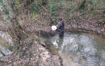 Bilan des étiages 2025 en Gironde