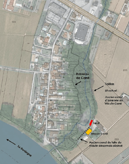 renaturation ruisseau taillas