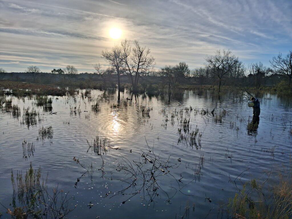 marais ilette canal etangs frayere brochet gironde