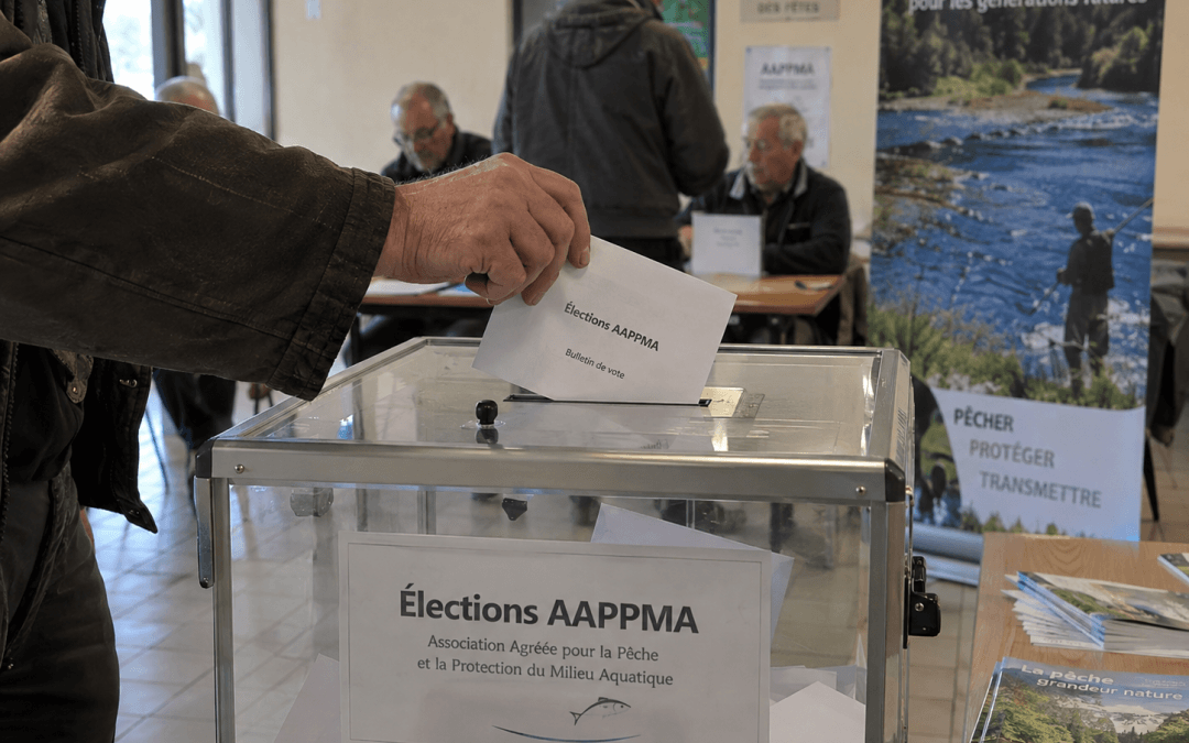 Elections 2026 AAPPMA Gironde