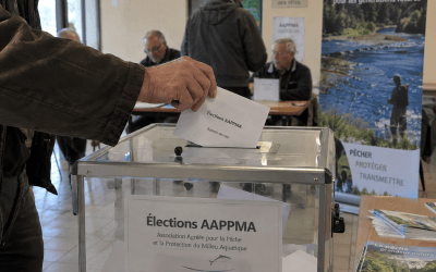 Élections 2026 dans les AAPPMA de Gironde : pourquoi pas vous ?